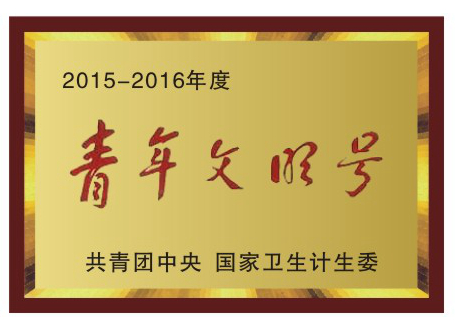 2015-2016年度青年文明号